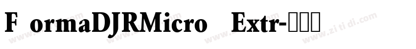 F ormaDJRMicro  Extr字体转换